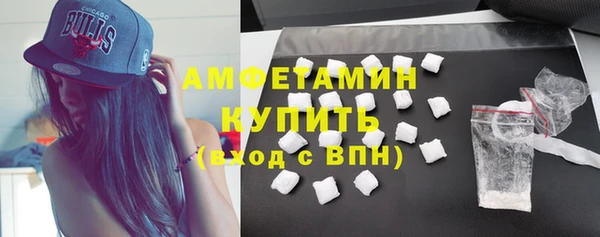 ПСИЛОЦИБИНОВЫЕ ГРИБЫ Дмитриев